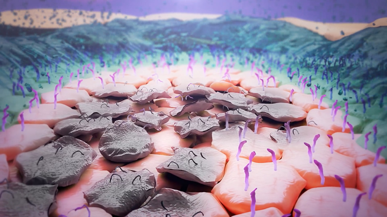 Illustration of evaporation process on the surface of the eye.