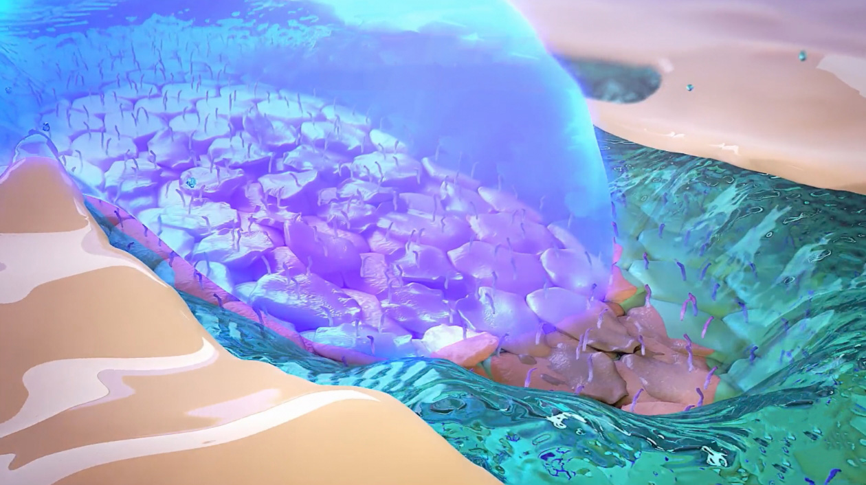 Illustration of the protective layer of MIEBO on the surface of the eye